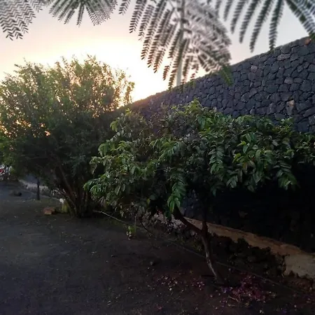 Dom wakacyjny Casa Palmeral