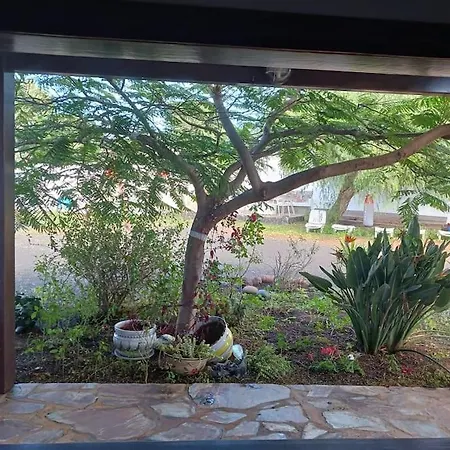 Dom wakacyjny Casa Palmeral